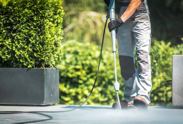 Best Fence Cleaning  in Long Valley, NJ